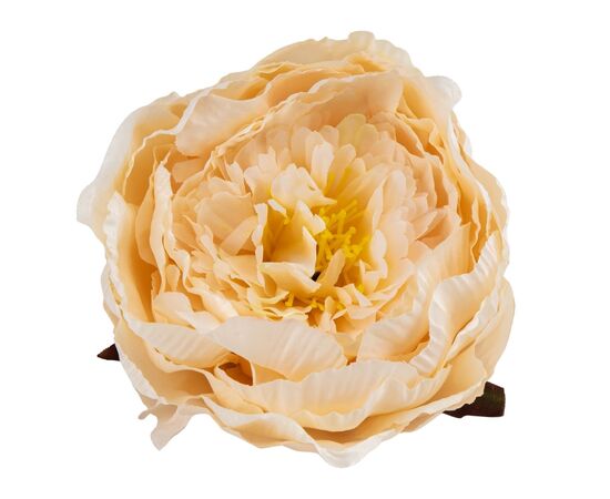 Головка пиона, кремовая, 11 см, изображение 3 ᐒ купить на  ❤ Like7km.com.ua