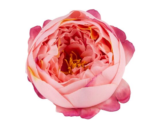 Головка пионообразной розы, розовая, 9 см, изображение 3 ᐒ купить на  ❤ Like7km.com.ua