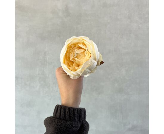 Головка розы, белая(крем), 8 см, изображение 5 ᐒ купить на  ❤ Like7km.com.ua