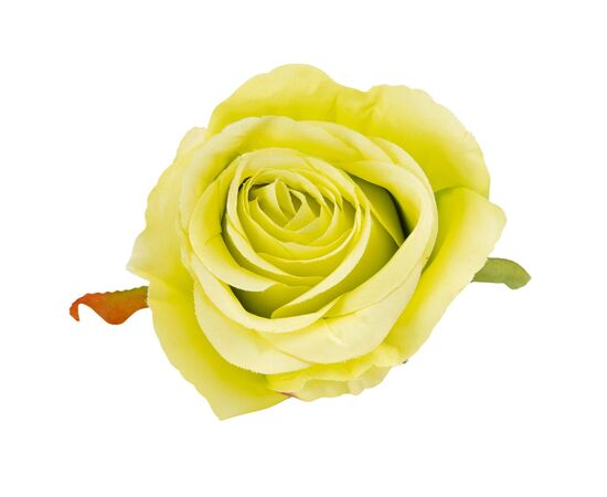 Головка розы, зеленая, 8 см, изображение 3 ᐒ купить на  ❤ Like7km.com.ua