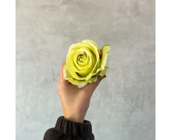 Головка розы, зеленая, 8 см, изображение 5 ᐒ купить на  ❤ Like7km.com.ua