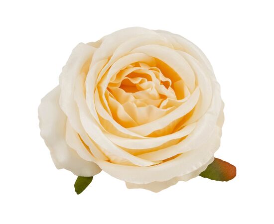 Головка розы, кремовая, 9 см, изображение 3 ᐒ купить на  ❤ Like7km.com.ua