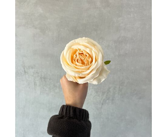Головка розы, кремовая, 9 см, изображение 5 ᐒ купить на  ❤ Like7km.com.ua