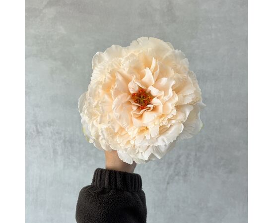 Головка пиона, кремовая, 17 см, изображение 5 ᐒ купить на  ❤ Like7km.com.ua