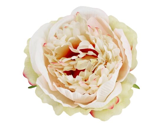 Головка пиона, розово-зеленая, 9 см, изображение 3 ᐒ купить на  ❤ Like7km.com.ua