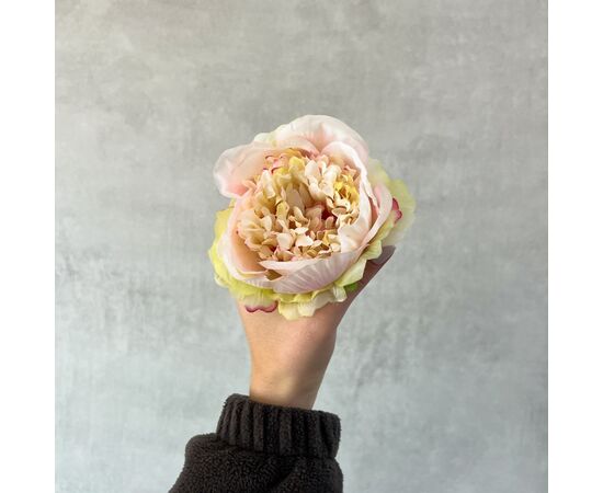 Головка пиона, розово-зеленая, 9 см, изображение 5 ᐒ купить на  ❤ Like7km.com.ua