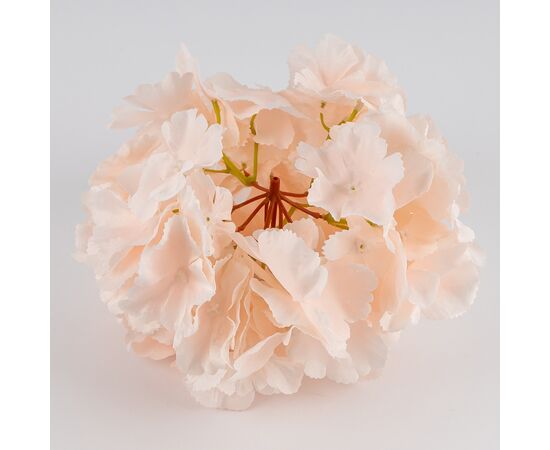 Головка гортензии, нежно-розовая, 20 см, изображение 3 ᐒ купить на  ❤ Like7km.com.ua