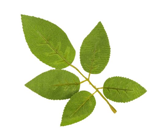 Искусственные листья розы, зелёные, 250 г, изображение 3 ᐒ купить на  ❤ Like7km.com.ua