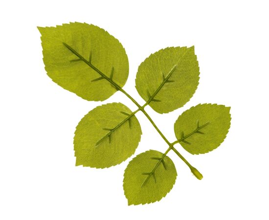 Искусственные листья розы, зелёные, 250 г, изображение 3 ᐒ купить на  ❤ Like7km.com.ua