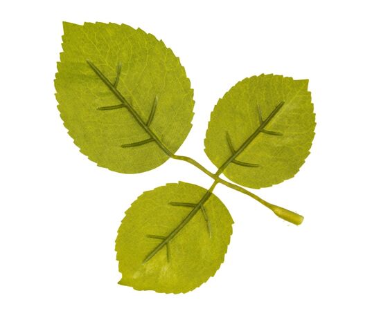 Искусственные листья розы, зелёные, 250 г, изображение 3 ᐒ купить на  ❤ Like7km.com.ua