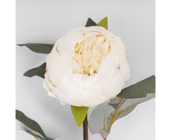 Искусственные пионы, кремовые, 65 см, изображение 4 ᐒ купить на  ❤ Like7km.com.ua