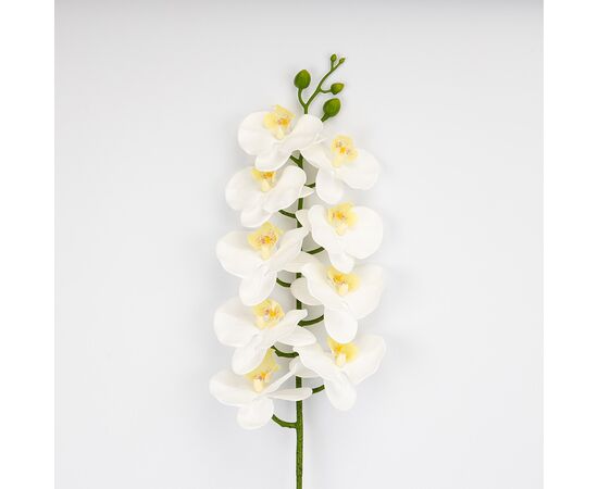 Искусственная орхидея, кремовая, 95 см, изображение 2 ᐒ купить на  ❤ Like7km.com.ua