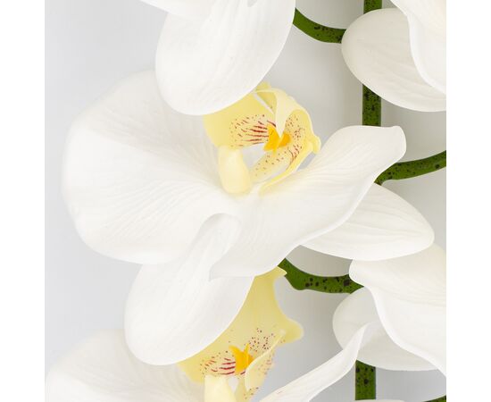 Искусственная орхидея, кремовая, 95 см, изображение 3 ᐒ купить на  ❤ Like7km.com.ua