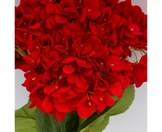Букет гортензий, 5 бутонов, красный, 48 см, изображение 2 ᐒ купить на  ❤ Like7km.com.ua