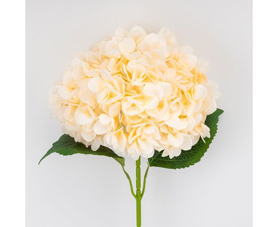 Искусственная гортензия, кремовая, 67 см, изображение 2 ᐒ купить на  ❤ Like7km.com.ua