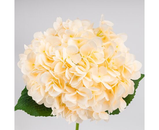 Искусственная гортензия, кремовая, 67 см, изображение 3 ᐒ купить на  ❤ Like7km.com.ua