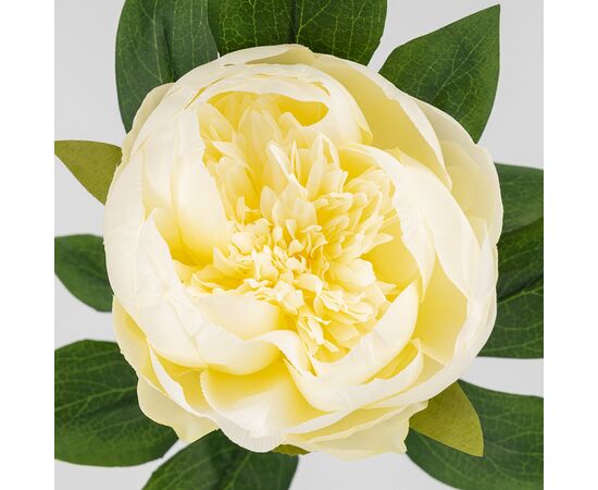 Искусственный пион, кремовый, 70 см, изображение 3 ᐒ купить на  ❤ Like7km.com.ua