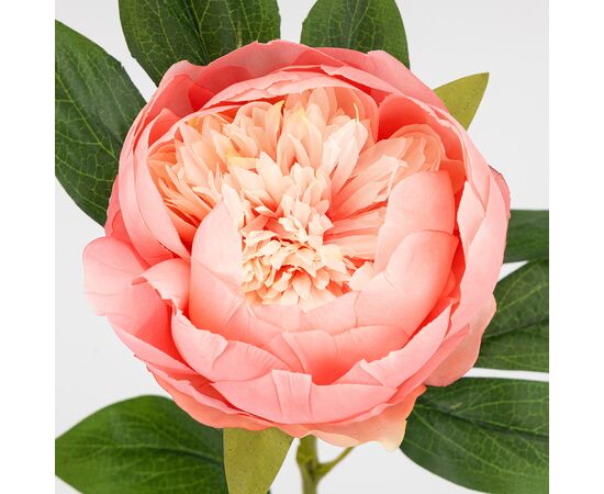 Искусственный пион, кремово-розовый, 70 см, изображение 3 ᐒ купить на  ❤ Like7km.com.ua