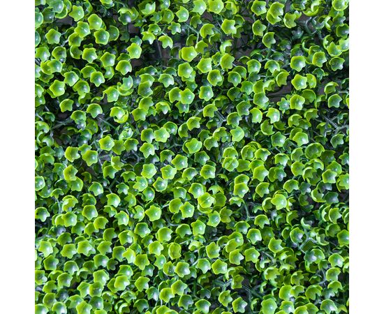 Искусственный фитомодуль "Самшит", 60*41 см СПАСЕННАЯ ПОЗИЦИЯ, изображение 5 ᐒ купить на  ❤ Like7km.com.ua