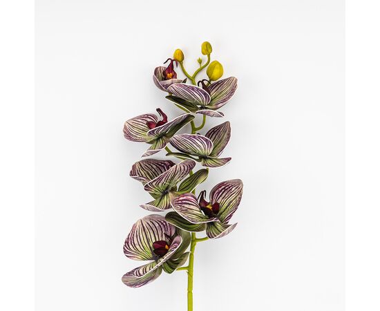 Латексная орхидея, зелено-бордовая, 76 см СПАСЕННАЯ ПОЗИЦИЯ, изображение 2 ᐒ купить на  ❤ Like7km.com.ua