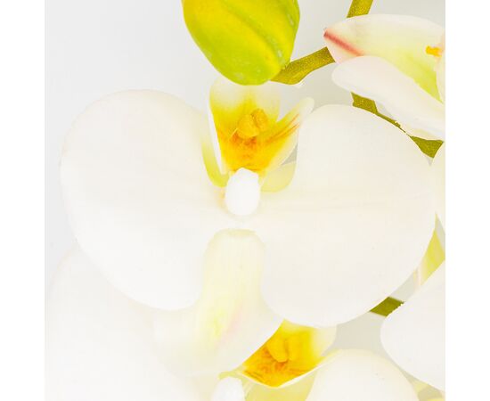 Латексная орхидея, кремовая, 86 см СПАСЕННАЯ ПОЗИЦИЯ, изображение 3 ᐒ купить на  ❤ Like7km.com.ua