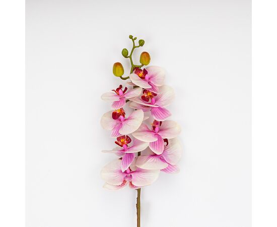 Латексная орхидея, бело-розовая, 86 см СПАСЕННАЯ ПОЗИЦИЯ, изображение 2 ᐒ купить на  ❤ Like7km.com.ua