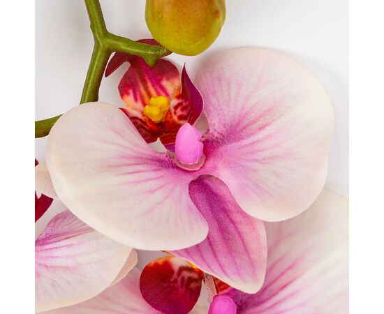 Латексная орхидея, бело-розовая, 86 см СПАСЕННАЯ ПОЗИЦИЯ, изображение 3 ᐒ купить на  ❤ Like7km.com.ua