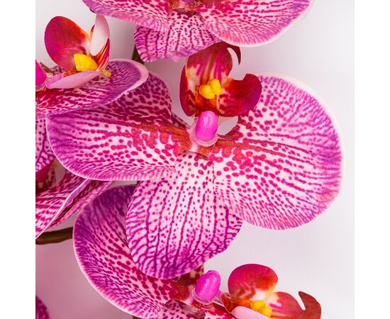 Латексная орхидея, розовая, 86 см СПАСЕННАЯ ПОЗИЦИЯ, изображение 3 ᐒ купить на  ❤ Like7km.com.ua