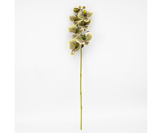 Латексная орхидея, зелено-кремовая, 76 см СПАСЕННАЯ ПОЗИЦИЯ, изображение 4 ᐒ купить на  ❤ Like7km.com.ua