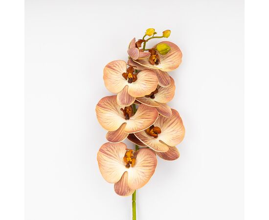 Латексная орхидея, кремово-розовая, 76 см СПАСЕННАЯ ПОЗИЦИЯ, изображение 2 ᐒ купить на  ❤ Like7km.com.ua