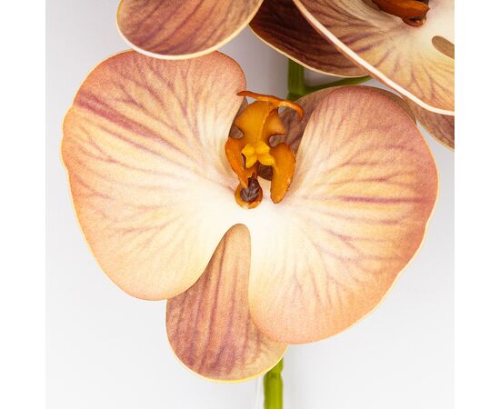 Латексная орхидея, кремово-розовая, 76 см СПАСЕННАЯ ПОЗИЦИЯ, изображение 3 ᐒ купить на  ❤ Like7km.com.ua