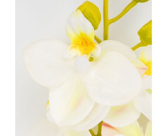 Латексная орхидея, белая, 72 см СПАСЕННАЯ ПОЗИЦИЯ, изображение 3 ᐒ купить на  ❤ Like7km.com.ua