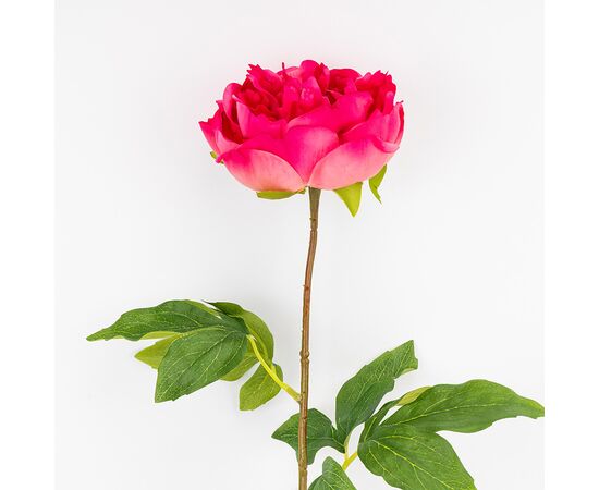 Искусственный пион с эффектом живого прикосновения, кремово-розовый, 60 см, изображение 3 ᐒ купить на  ❤ Like7km.com.ua