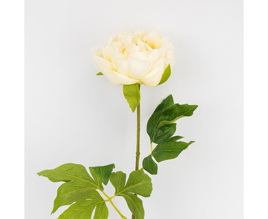 Искусственный пион с эффектом живого прикосновения, кремовый, 60 см, изображение 2 ᐒ купить на  ❤ Like7km.com.ua