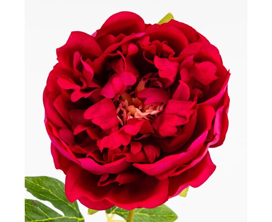 Искусственный пион с эффектом живого прикосновения, розовый, 60 см, изображение 2 ᐒ купить на  ❤ Like7km.com.ua