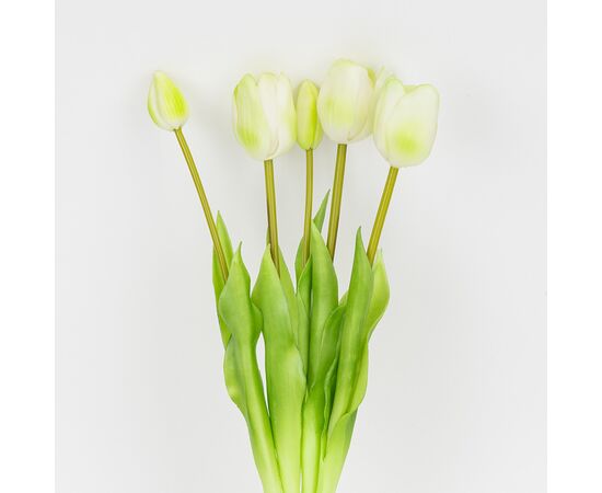 Букет латексных тюльпанов, 5 бутонов, бело-зеленый, 45 см, изображение 2 ᐒ купить на  ❤ Like7km.com.ua