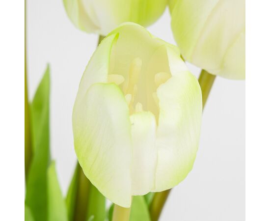 Букет латексных тюльпанов, 5 бутонов, бело-зеленый, 45 см, изображение 3 ᐒ купить на  ❤ Like7km.com.ua