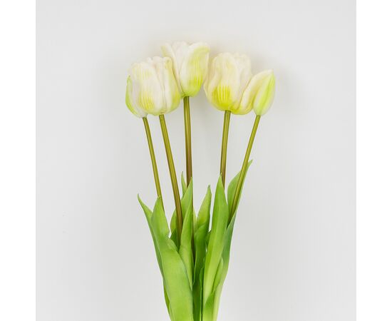 Букет латексных тюльпанов, 5 бутонов, бело-зеленый, 49 см, изображение 2 ᐒ купить на  ❤ Like7km.com.ua