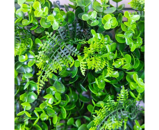 Фитомодуль искусственный "Самшит и папоротник", 40*60 cм, изображение 5 ᐒ купить на  ❤ Like7km.com.ua