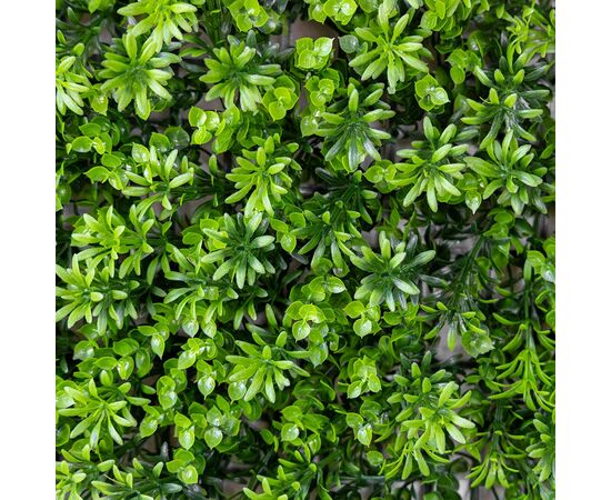 Фитомодуль искусственный "Травка", 40*60 cм, изображение 2 ᐒ купить на  ❤ Like7km.com.ua