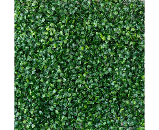 Фитомодуль искусственный "Самшит", 40*60 cм, изображение 2 ᐒ купить на  ❤ Like7km.com.ua