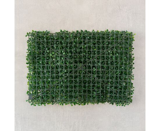 Фитомодуль искусственный "Самшит", 40*60 cм, изображение 3 ᐒ купить на  ❤ Like7km.com.ua