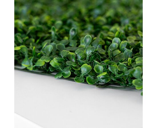 Фитомодуль искусственный "Самшит", 40*60 cм, изображение 4 ᐒ купить на  ❤ Like7km.com.ua