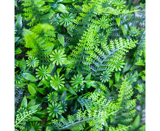 Фитомодуль искусственный "Папоротник", 40*60 cм, изображение 5 ᐒ купить на  ❤ Like7km.com.ua