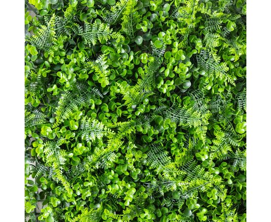 Фитомодуль искусственный "Самшит и папоротник", 50*50 cм, изображение 3 ᐒ купить на  ❤ Like7km.com.ua