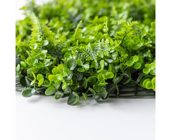 Фитомодуль искусственный "Самшит и папоротник", 50*50 cм, изображение 4 ᐒ купить на  ❤ Like7km.com.ua