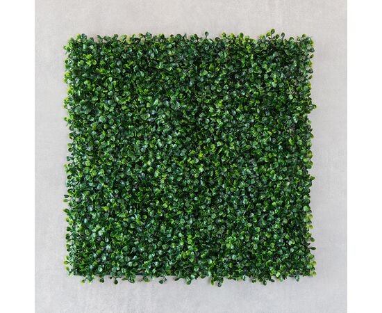 Фитомодуль искусственный "Самшит", 50*50 cм, изображение 2 ᐒ купить на  ❤ Like7km.com.ua