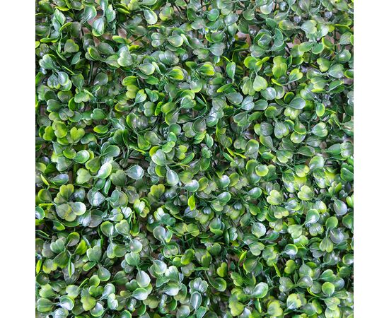 Фитомодуль искусственный "Самшит", 50*50 cм, изображение 5 ᐒ купить на  ❤ Like7km.com.ua