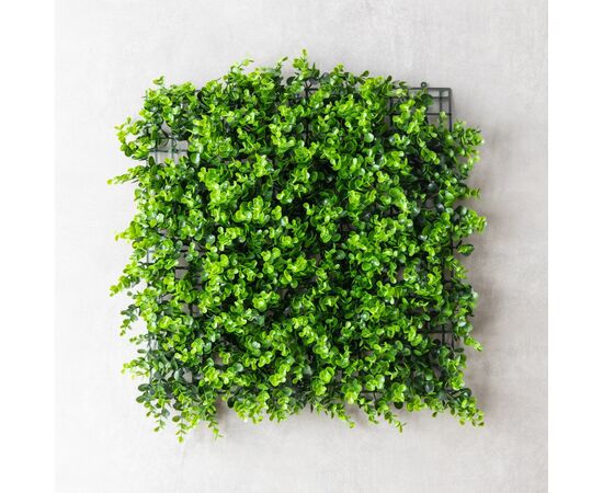 Фитомодуль искусственный "Самшит", 50*50 cм, изображение 2 ᐒ купить на  ❤ Like7km.com.ua