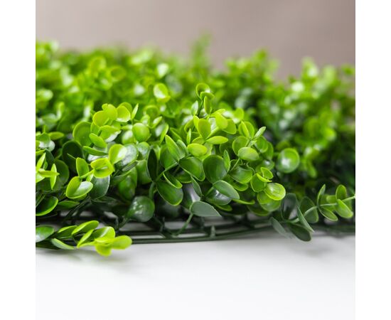 Фитомодуль искусственный "Самшит", 50*50 cм, изображение 4 ᐒ купить на  ❤ Like7km.com.ua